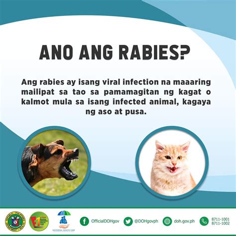 May rabies ba ang kalmot ng aso